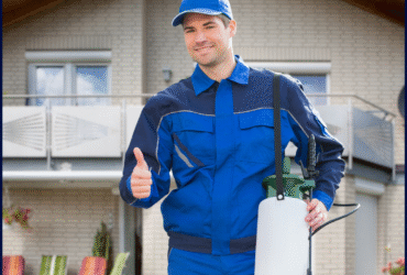 Untitled design (15)