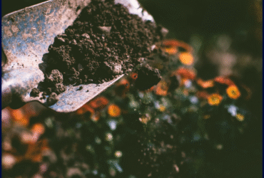 Untitled design (16)