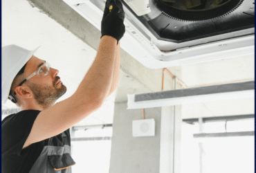 Untitled design (17)